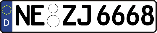 NE-ZJ6668