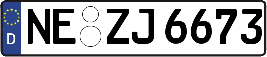 NE-ZJ6673