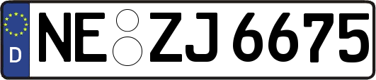 NE-ZJ6675