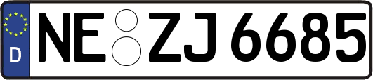 NE-ZJ6685