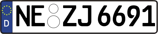 NE-ZJ6691