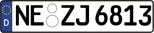 NE-ZJ6813