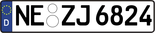 NE-ZJ6824