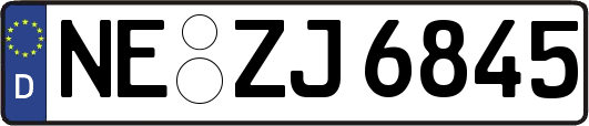 NE-ZJ6845