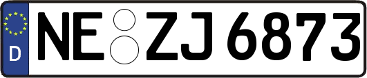 NE-ZJ6873