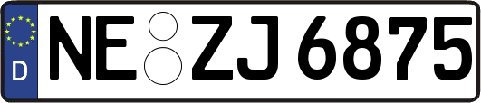 NE-ZJ6875