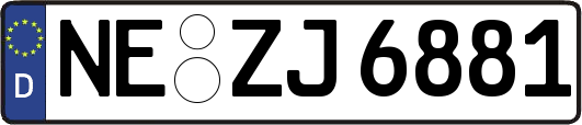 NE-ZJ6881