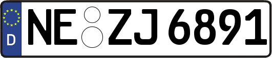 NE-ZJ6891