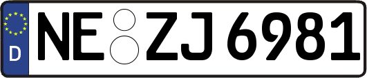 NE-ZJ6981