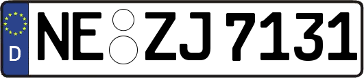 NE-ZJ7131