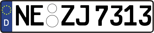 NE-ZJ7313