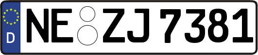 NE-ZJ7381
