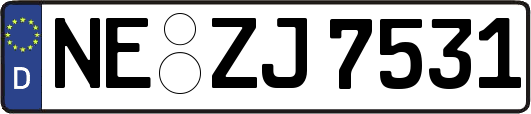 NE-ZJ7531