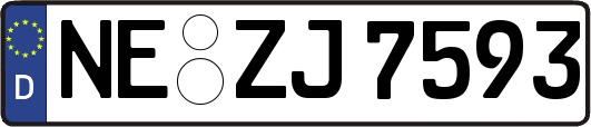 NE-ZJ7593