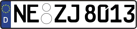 NE-ZJ8013