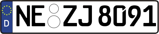 NE-ZJ8091