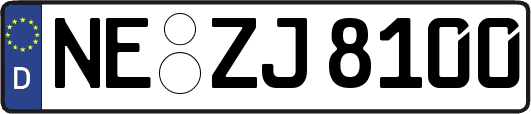 NE-ZJ8100