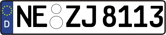 NE-ZJ8113