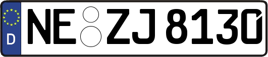 NE-ZJ8130