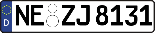NE-ZJ8131