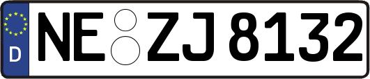 NE-ZJ8132