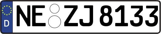NE-ZJ8133