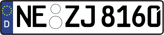 NE-ZJ8160