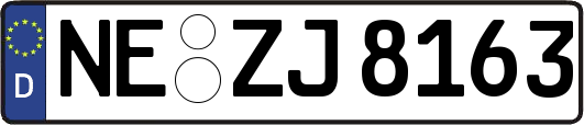 NE-ZJ8163