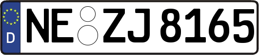 NE-ZJ8165