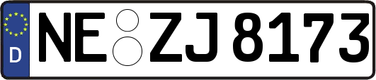 NE-ZJ8173
