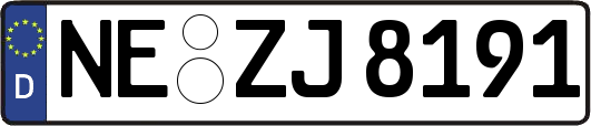 NE-ZJ8191