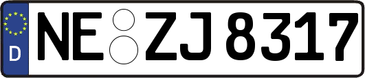 NE-ZJ8317