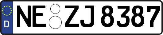 NE-ZJ8387
