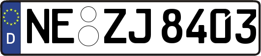 NE-ZJ8403