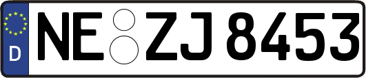 NE-ZJ8453