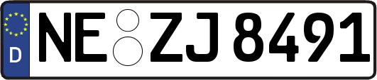 NE-ZJ8491