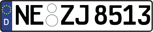 NE-ZJ8513