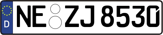 NE-ZJ8530