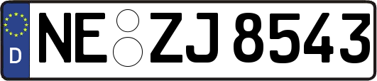 NE-ZJ8543