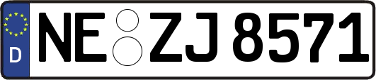 NE-ZJ8571