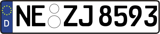 NE-ZJ8593