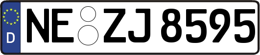 NE-ZJ8595
