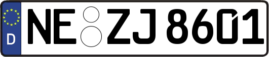 NE-ZJ8601