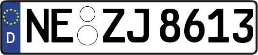 NE-ZJ8613