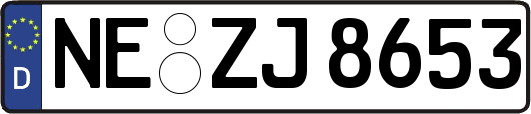 NE-ZJ8653