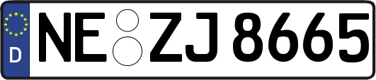 NE-ZJ8665