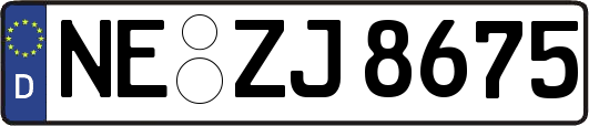 NE-ZJ8675