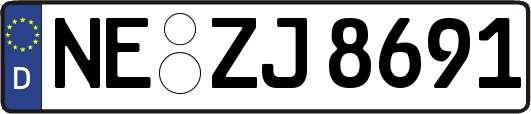 NE-ZJ8691