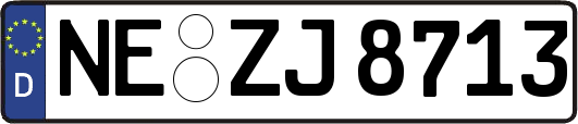 NE-ZJ8713