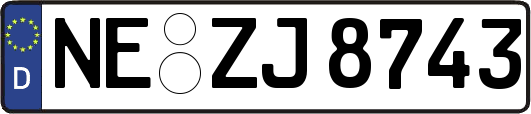 NE-ZJ8743